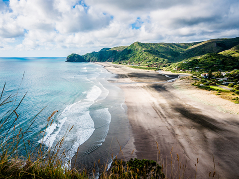 正版软件免费的DDOS接单平台
